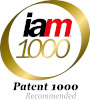 iam 1000. Patent 1000 Recommended
